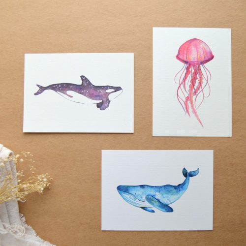 Láminas ilustradas animales marinos