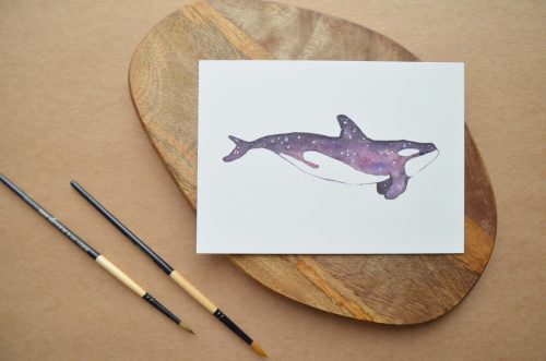 Láminas ilustradas animales marinos